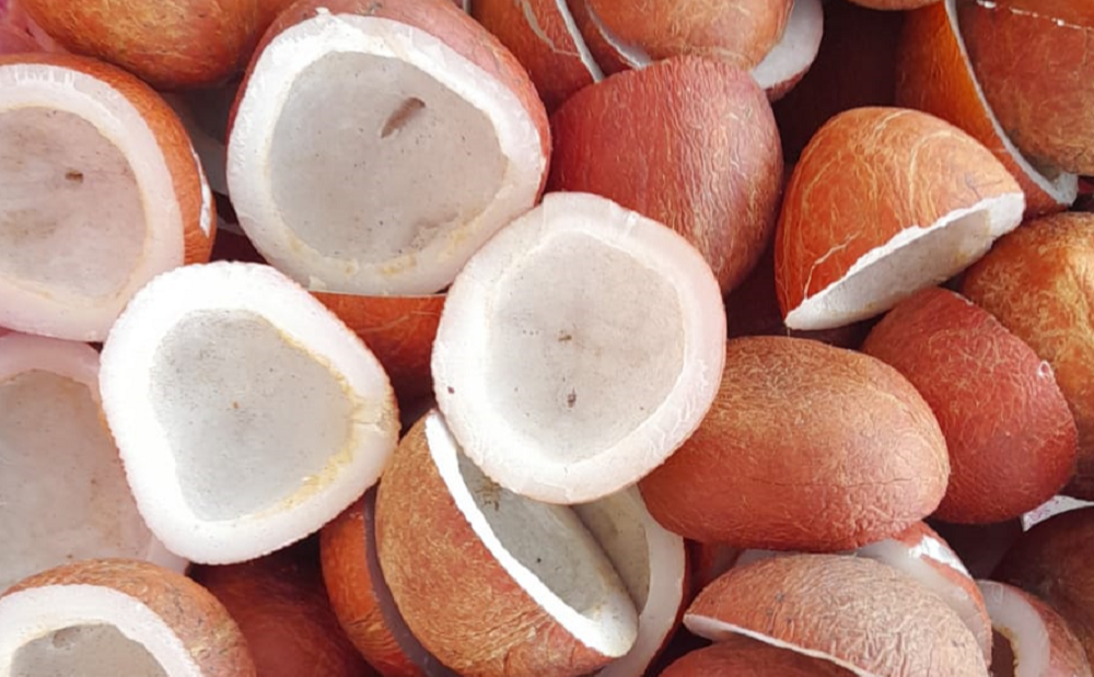 Indoagro Trade Agriculture Processing