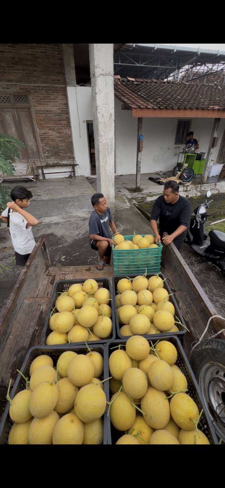 Sorting Premium Commodities