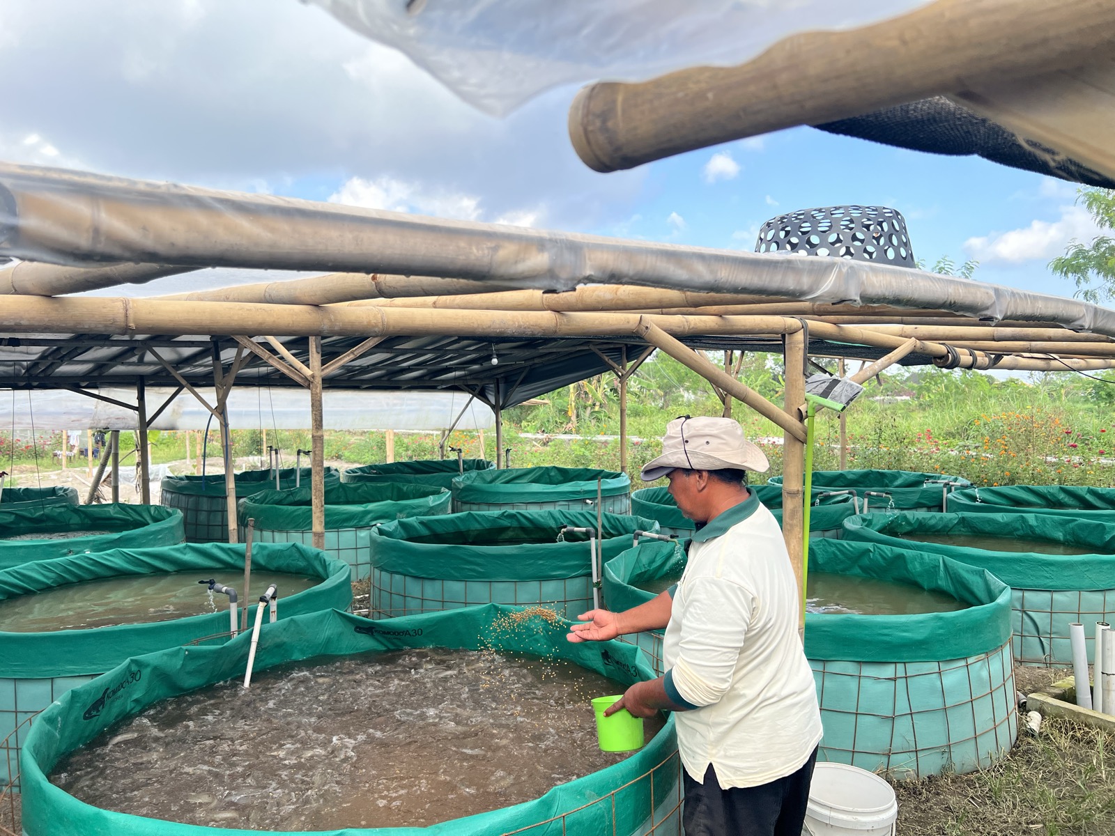 Commodity Sorting Hub