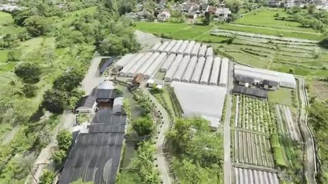 Commodity Sorting Line