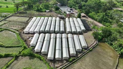 Direct Harvesting Co-op