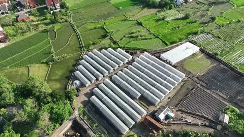 Welcome to Rejo Farm