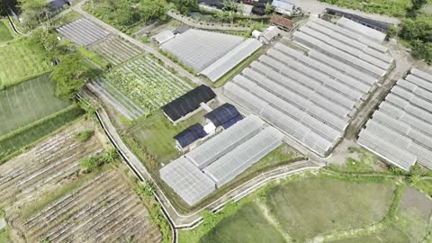 Agrarian Harvest Sort