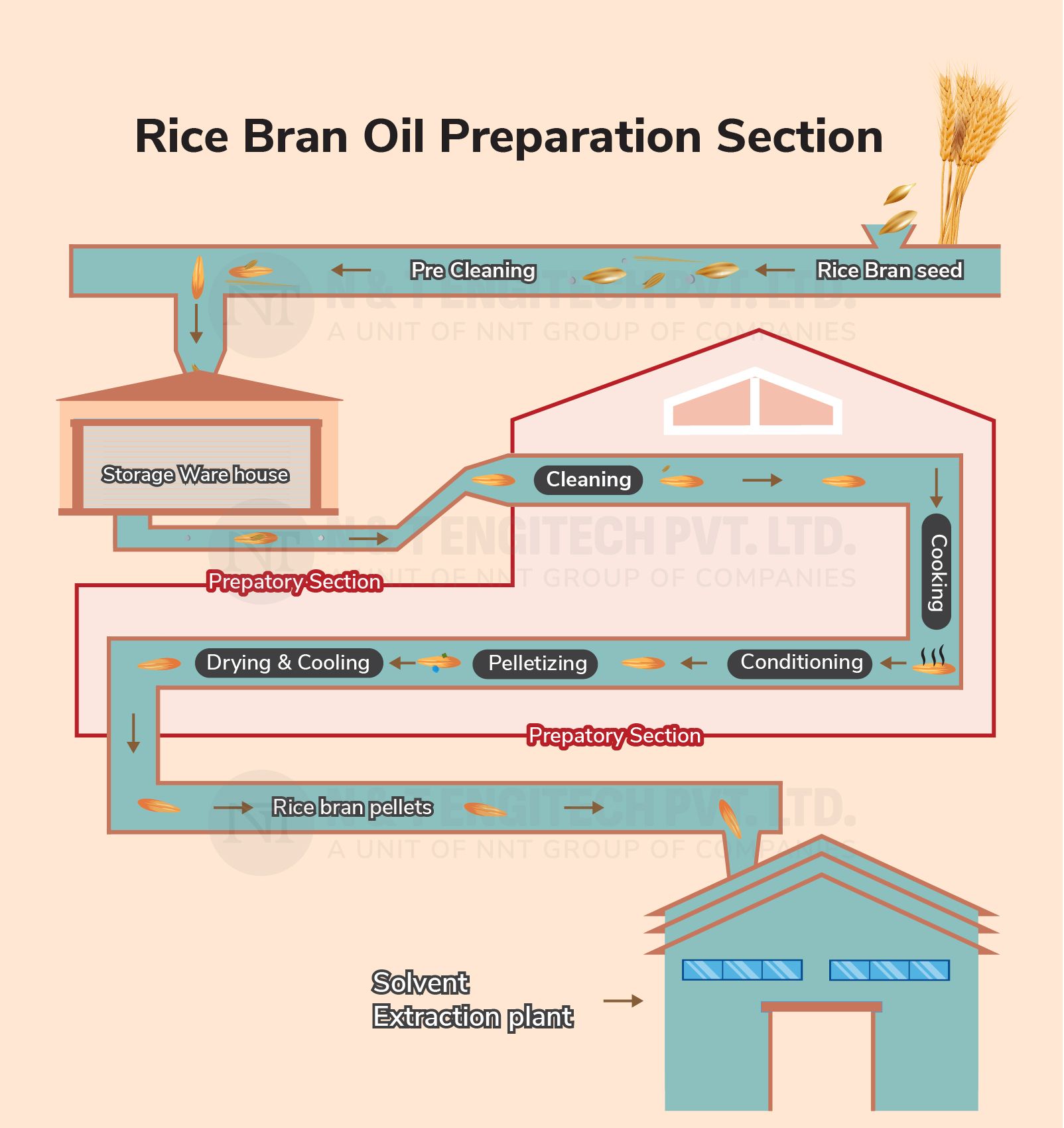 Grade A Rice Bran