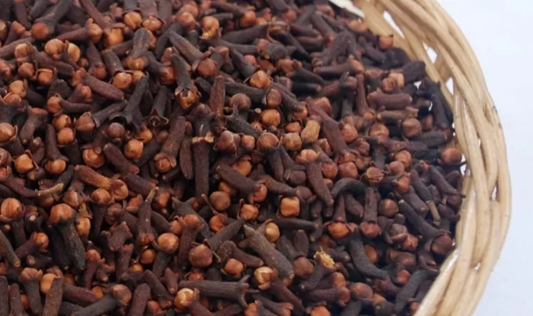 Cloves