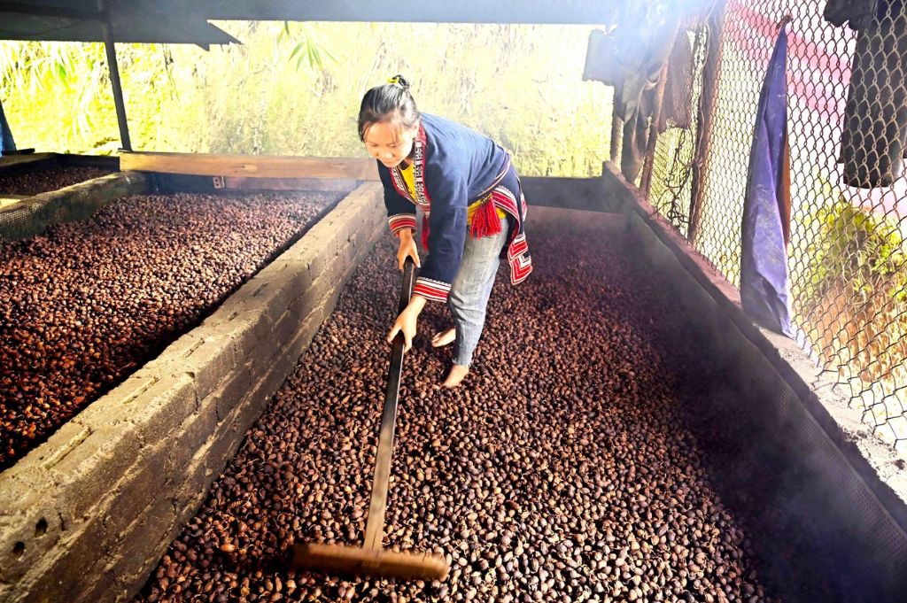Cardamom