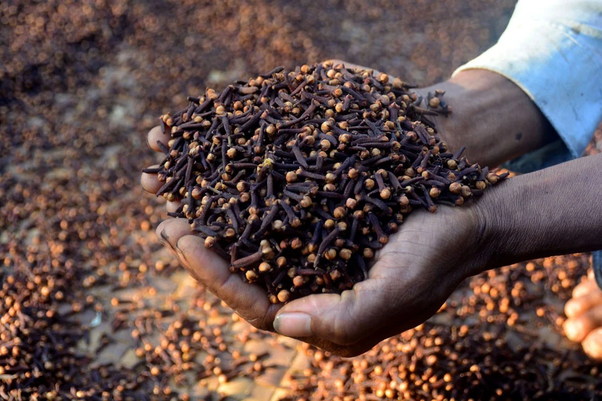 Grade B Whole Cloves