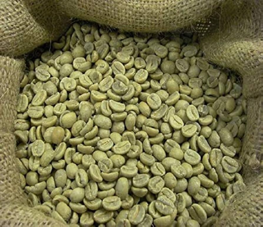 Robusta Lampung