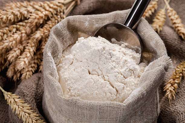 Industrial Powder Sago Flour