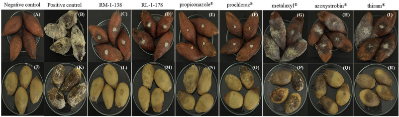Production Gallery