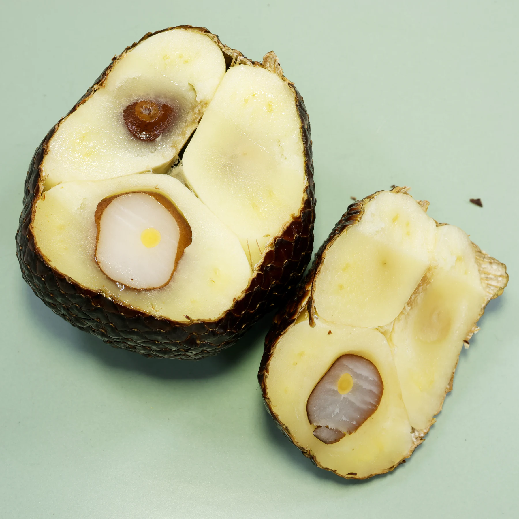 Snake Fruit Powder