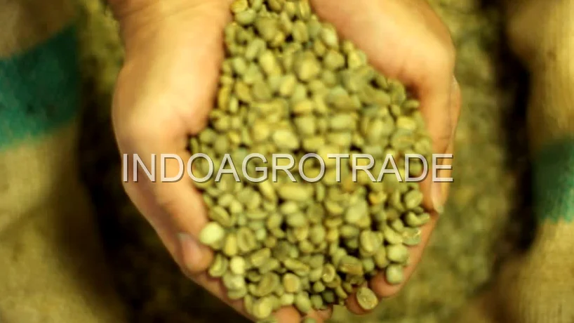 Arabica Coffee Beans