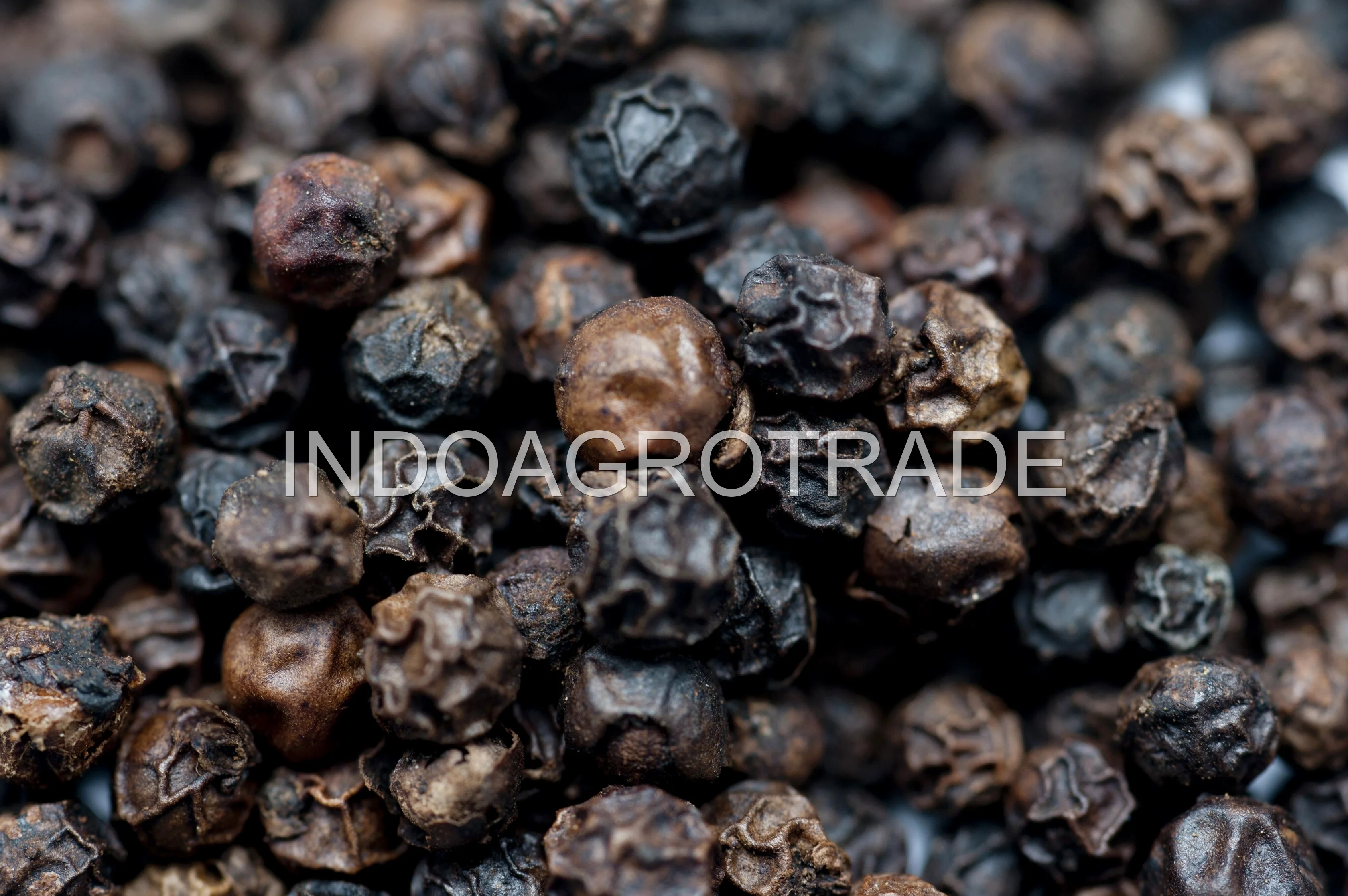 black-pepper production