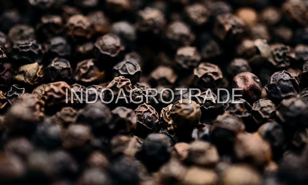 black-pepper production