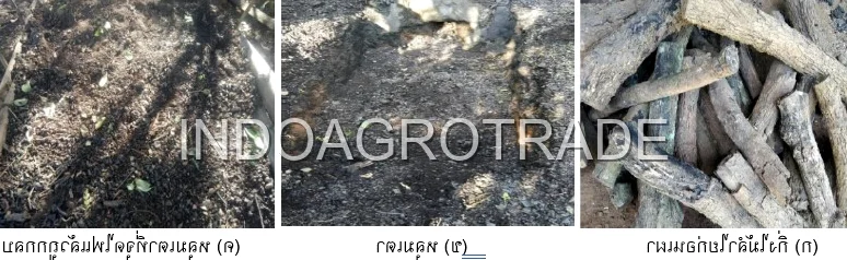 charcoal-briquette production