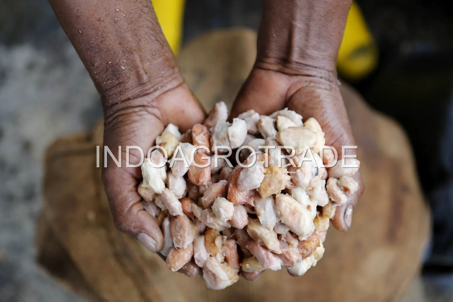 cocoa-liquor production