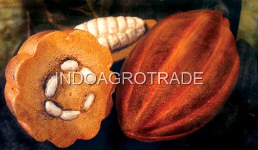Cocoa Liquor (Mass)