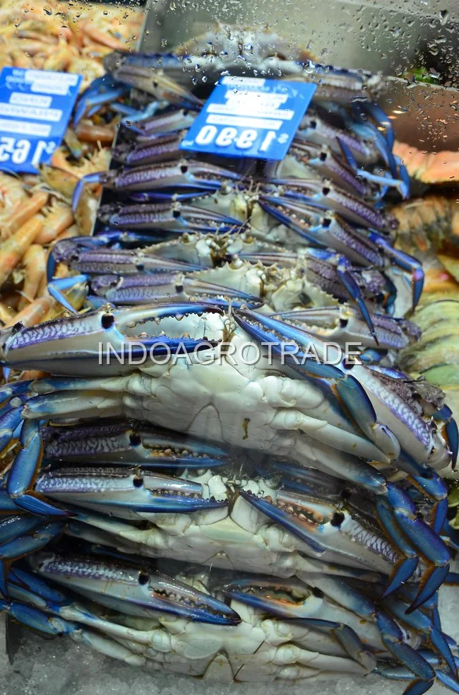 crab production