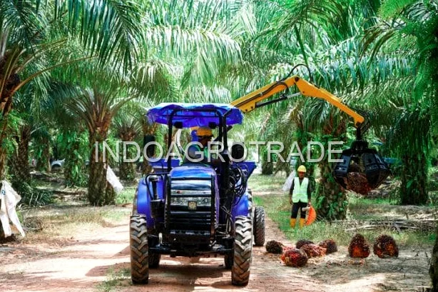 crude-palm-oil production