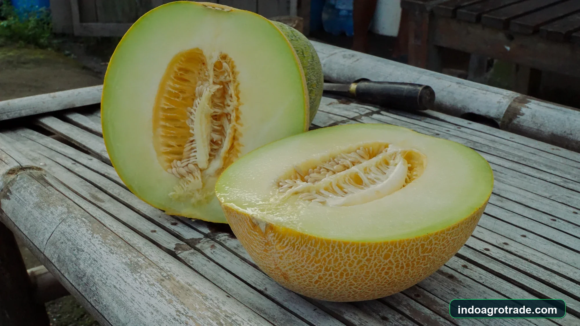Sliced sweet green honeydew cross-section on bamboo bench