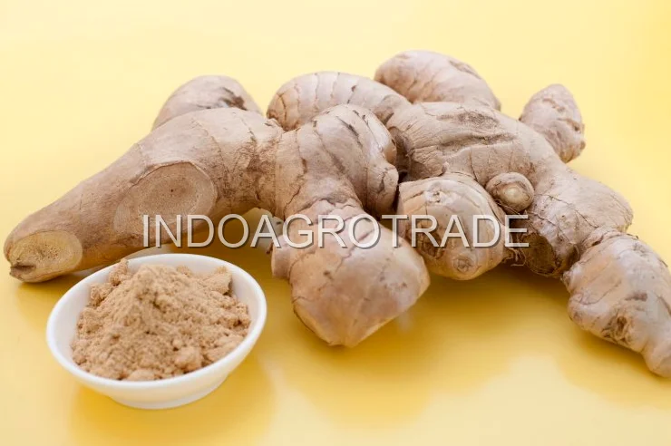 ginger production