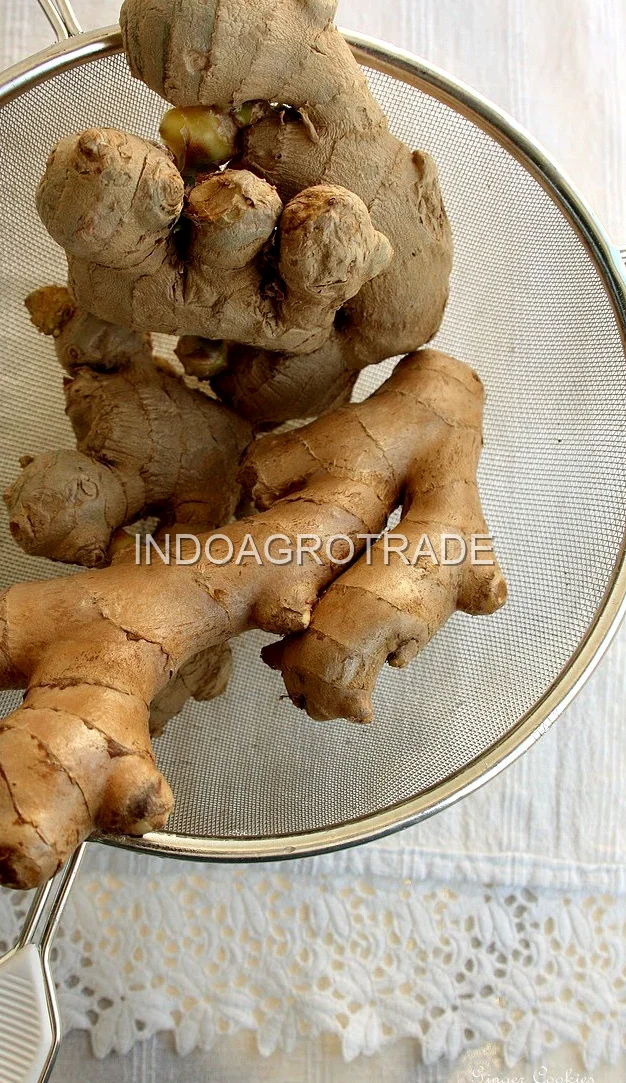ginger production