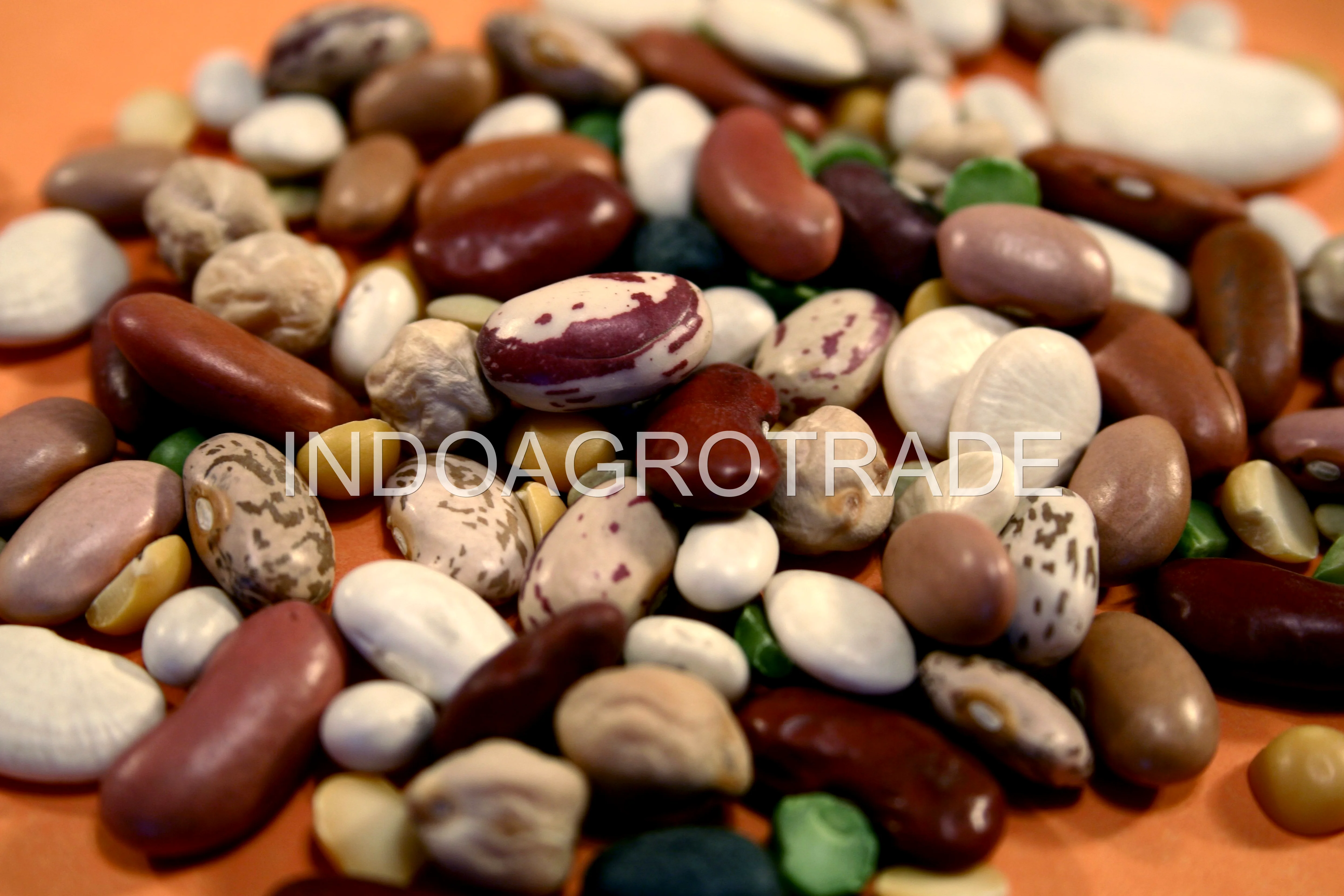 green-coffee-beans production