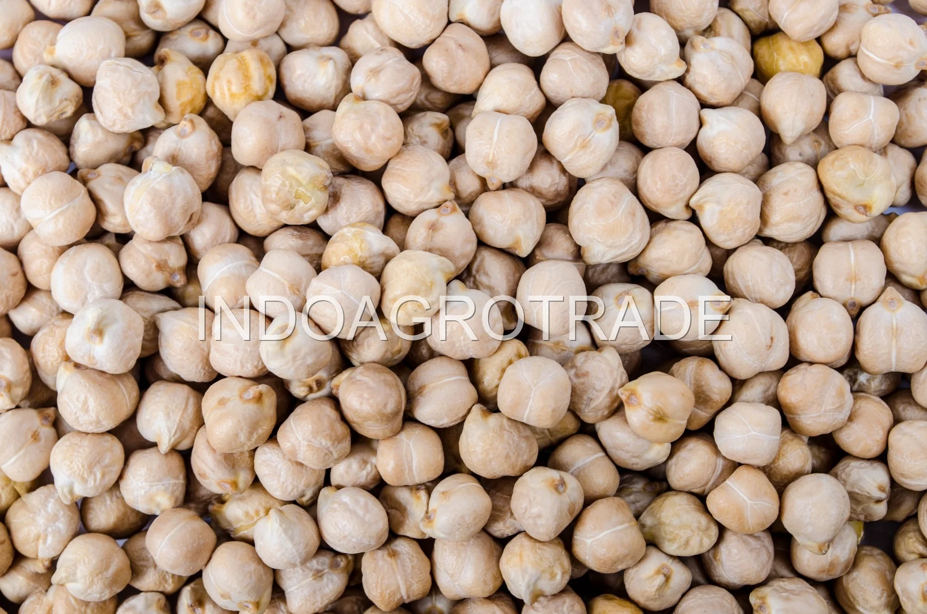 green-coffee-beans production