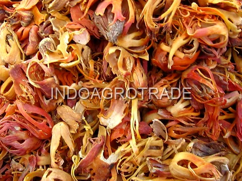mace production
