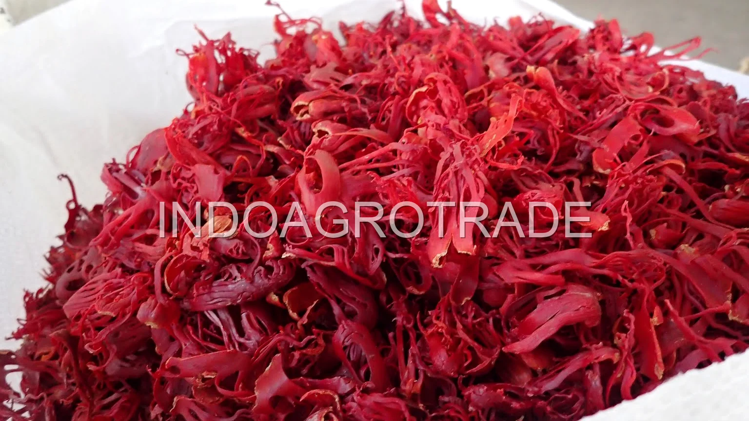 mace production
