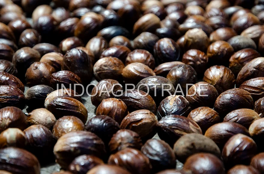 nutmeg production