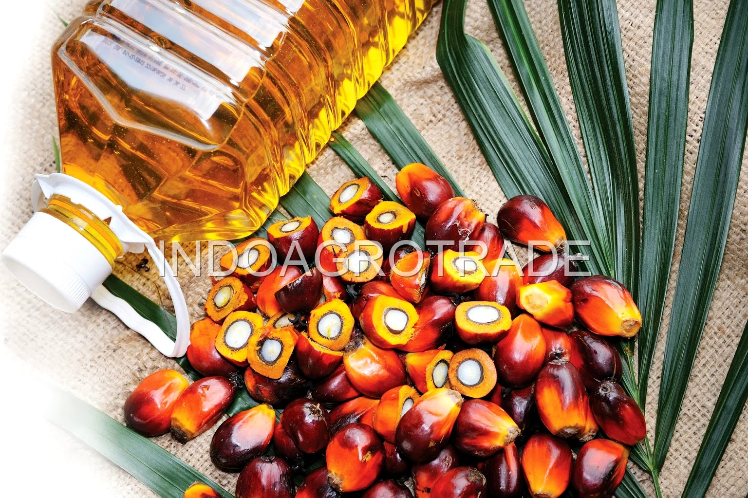 palm-kernel-oil production