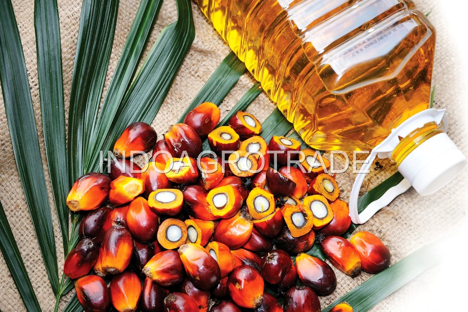refined-palm-oil production