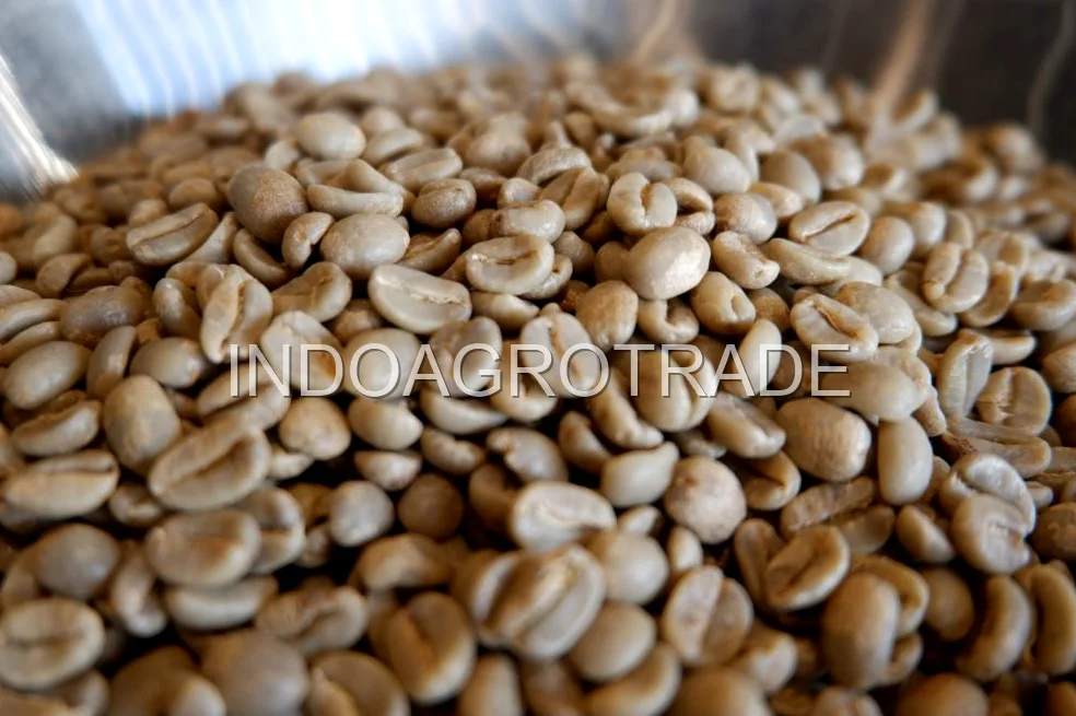 robusta-coffee production
