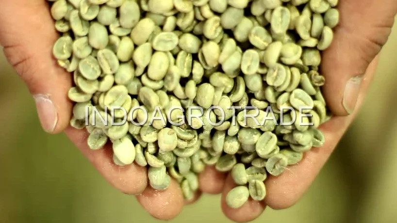 robusta-coffee production