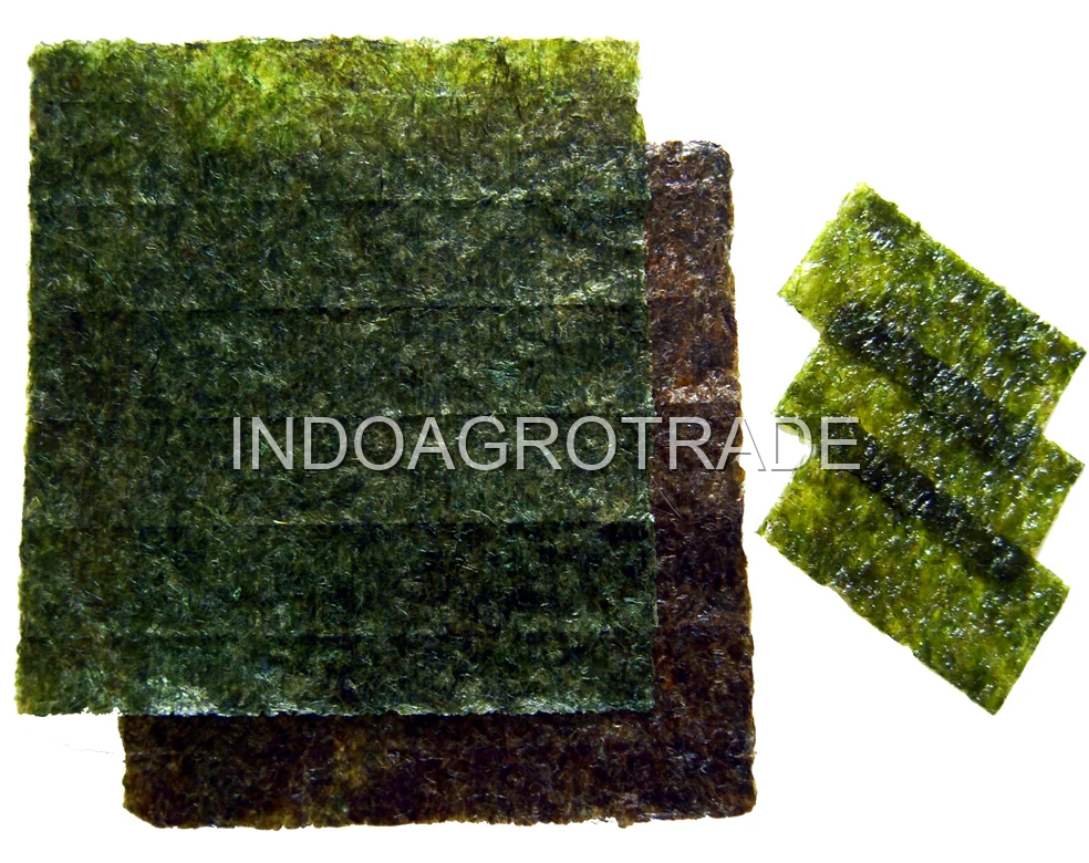 seaweed production