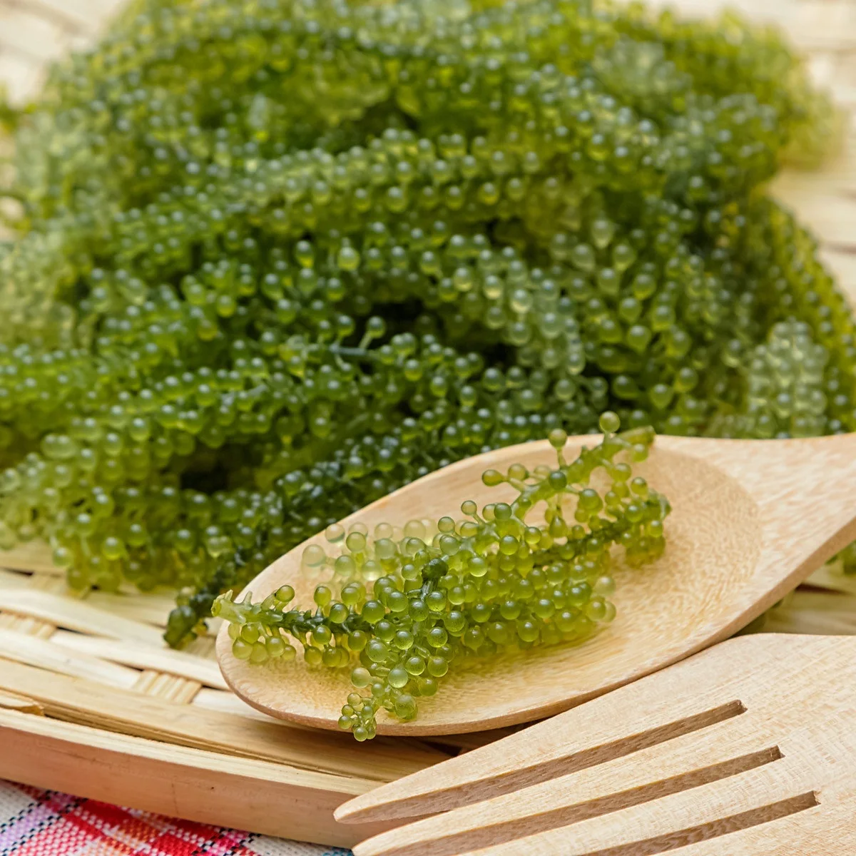 Grade A Seaweed
