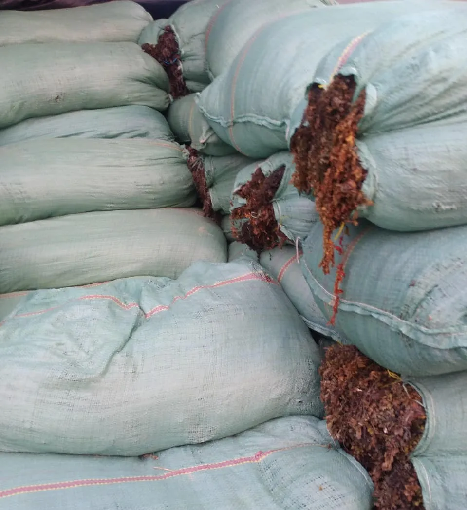 Grade B Seaweed