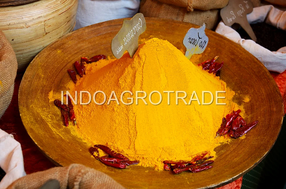 turmeric production