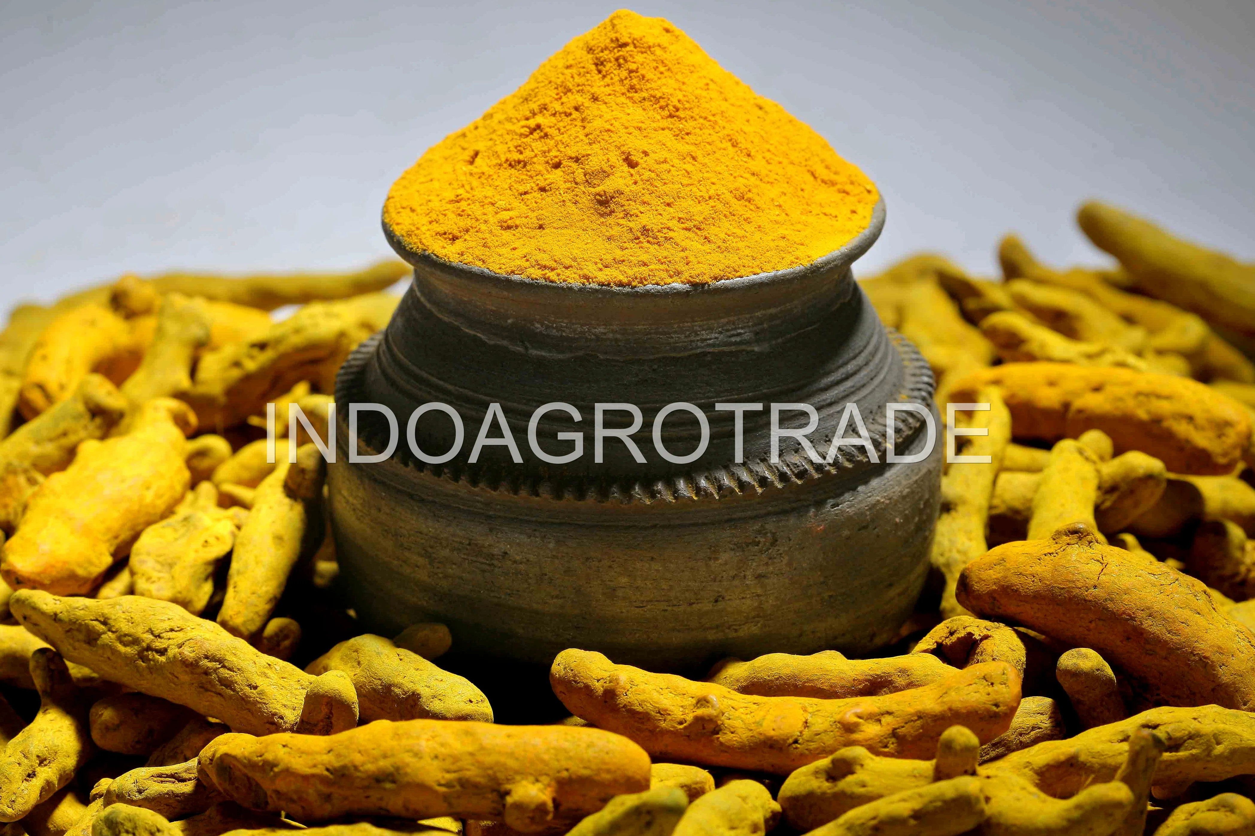 turmeric production
