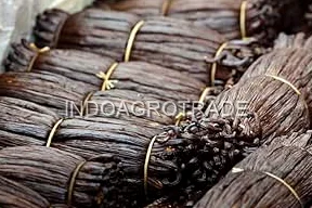 vanilla-beans production