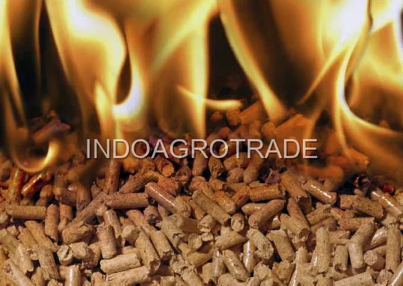 Biomass Wood Pellets