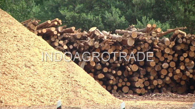 wood-pellet production